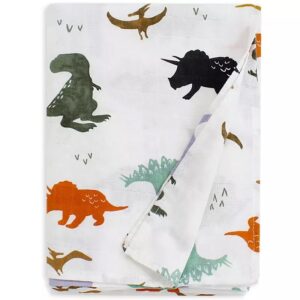 Muslin Blankets - Dinosaur